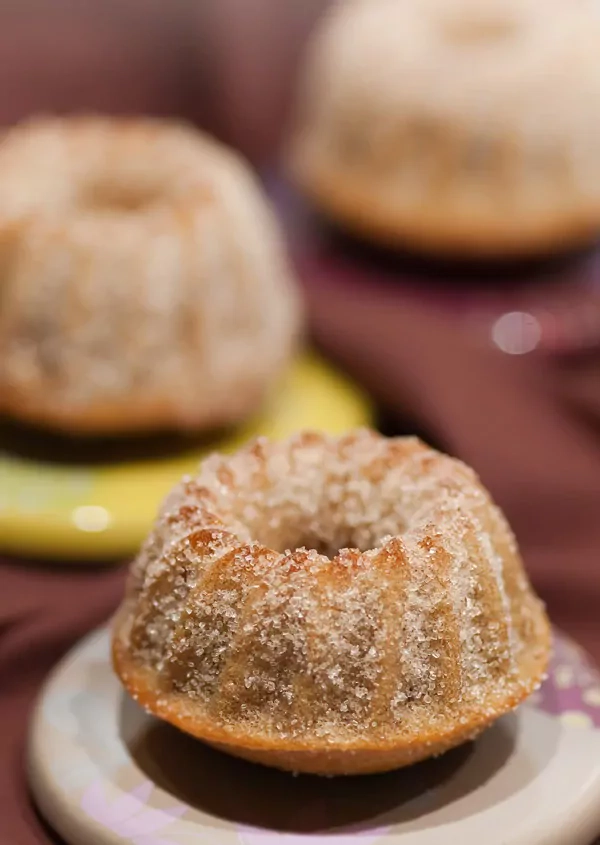 Bananen Mini Kuchen mit getrockneten Cranberries