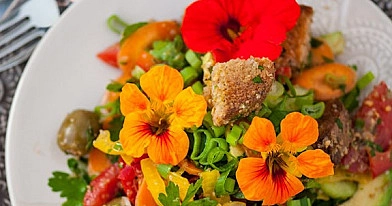 Brotsalat mit Amaranth und Avocado