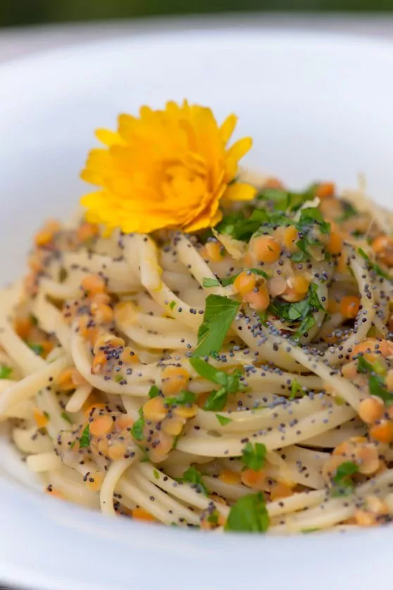 Pasta mit roten Linsen, Kokosmilch, Mohn und Zitrone