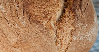 Einfaches Weißbrot mit Weizen-Sauerteig und Vorteig