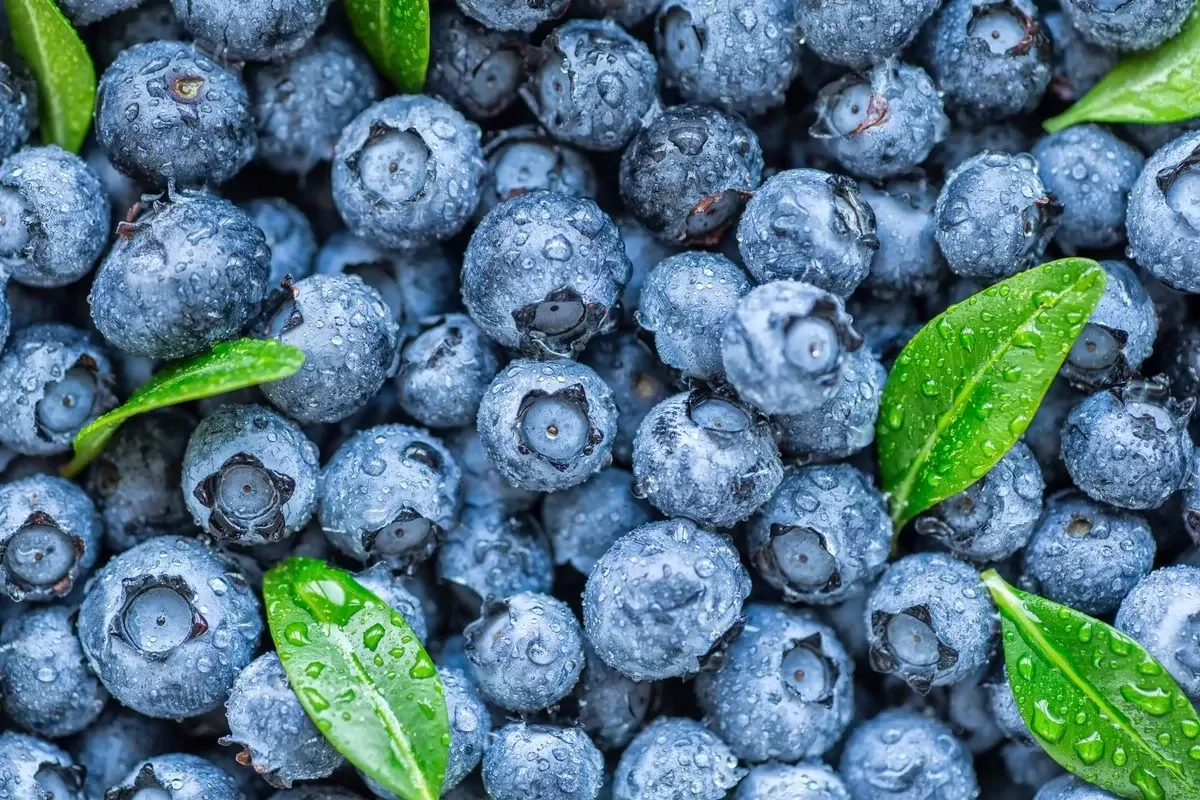 Vorteile von Blaubeeren für den Körper