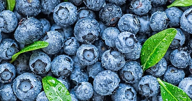 Vorteile von Blaubeeren für den Körper