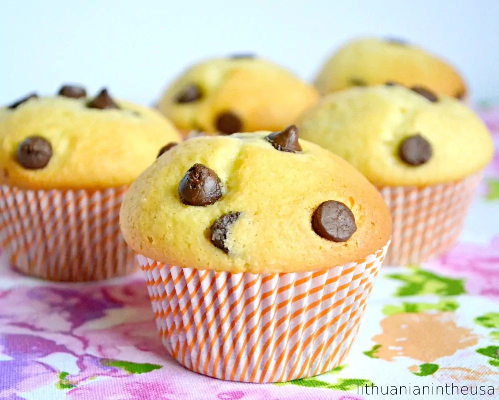 Fluffige Cupcakes mit Schokoladenstückchen, zubereitet mit Milch