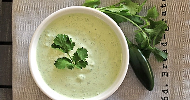 Raita - Griechische Joghurtsauce zu Hähnchensteak, Röllchen oder Filets